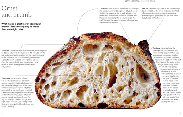 How to Raise a Loaf and Fall in Love With Sourdough (Roly Allen)