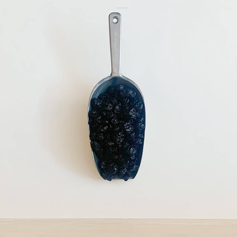 Close up of dried blueberries on a metal scoop